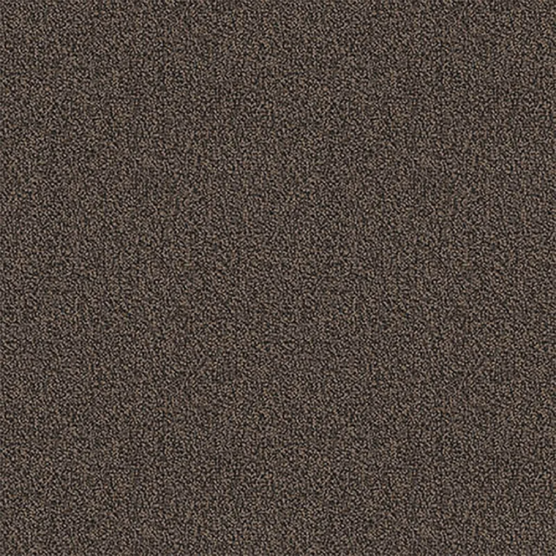 Pentz Carpet Chivalry 7233T-2656 Humanity 24" x 24" (72 SF/Box)