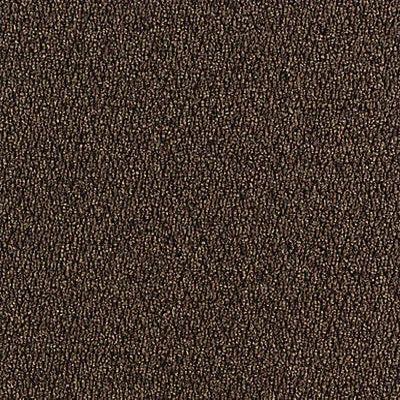 Aladdin Walk The Walk Carpet Tile QA68-859 Walnut 24" x 24" (56 SF/Box)