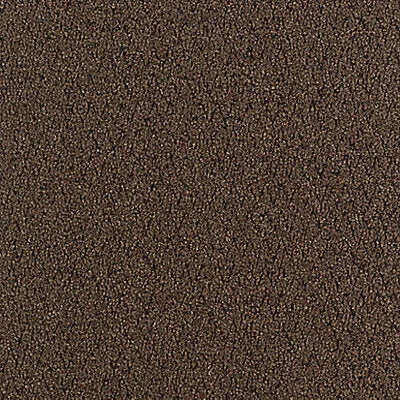 Aladdin Walk Right Up Carpet Tile QA69-859 Walnut 24" x 24" (56 SF/Box)