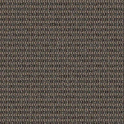 Aladdin Implore Carpet Tile QA128-859 Describe 24" x 24" (96 SF/Box)